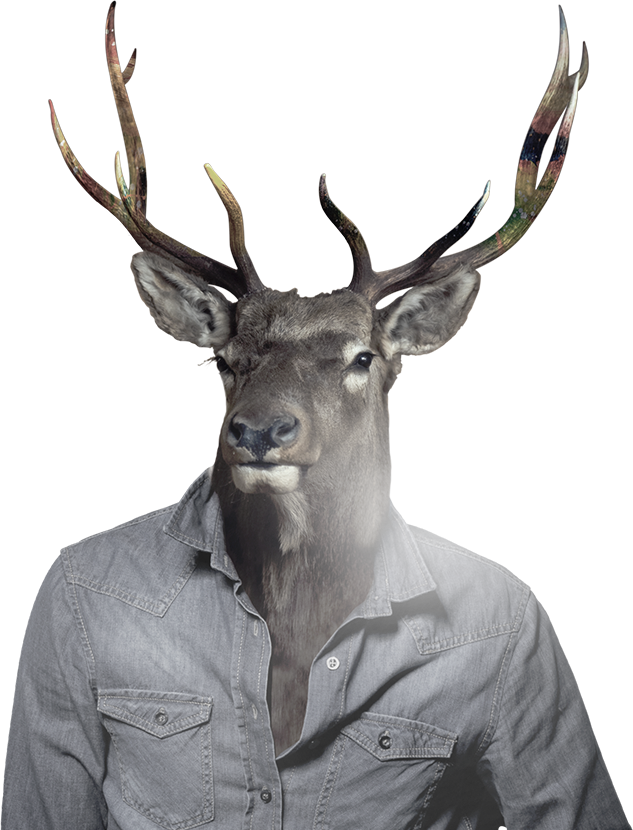 big-stag